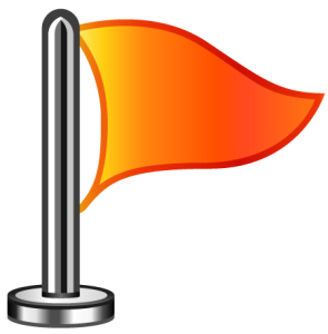 Flag Icon